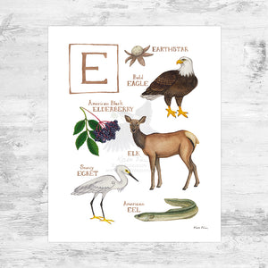 The Letter E Nature Art Print