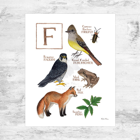 The Letter F Nature Art Print