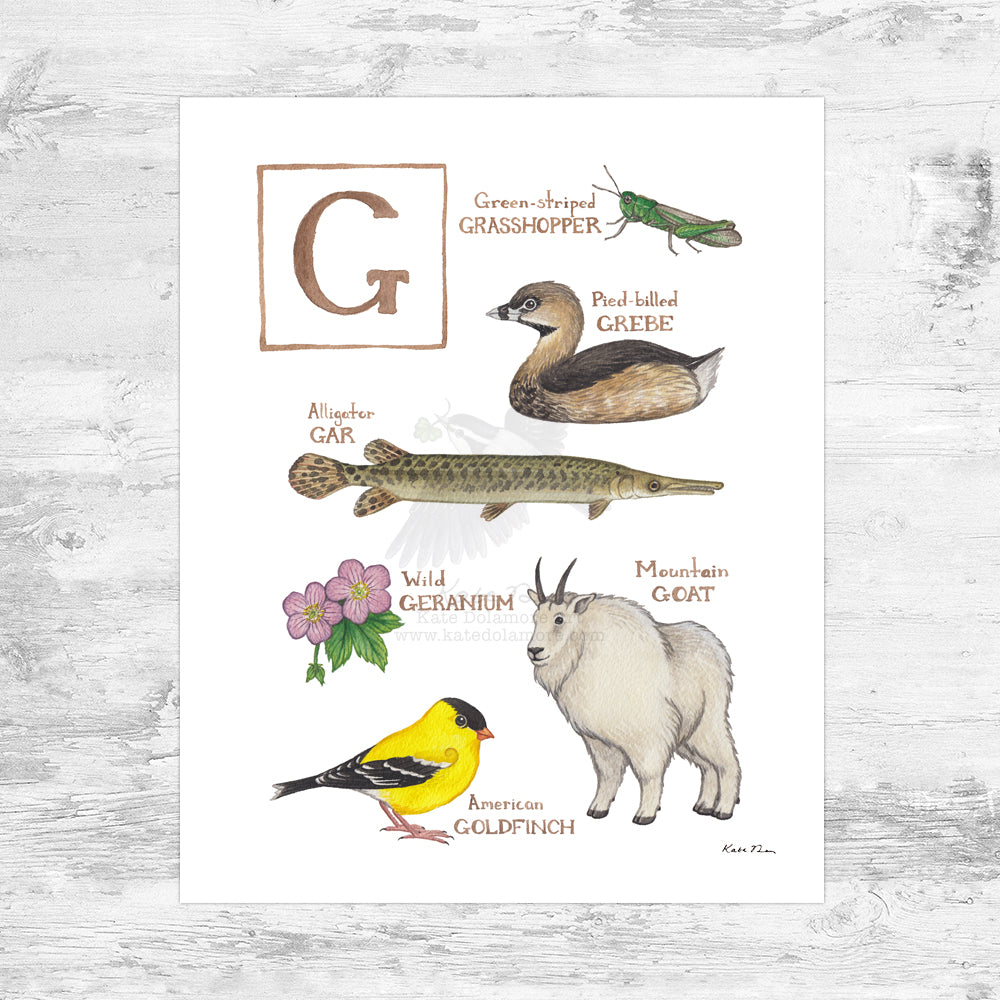 The Letter G Nature Art Print