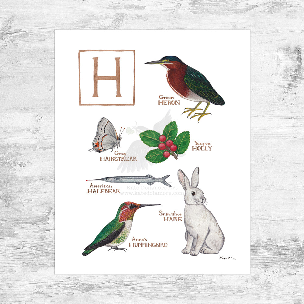 The Letter H Nature Art Print