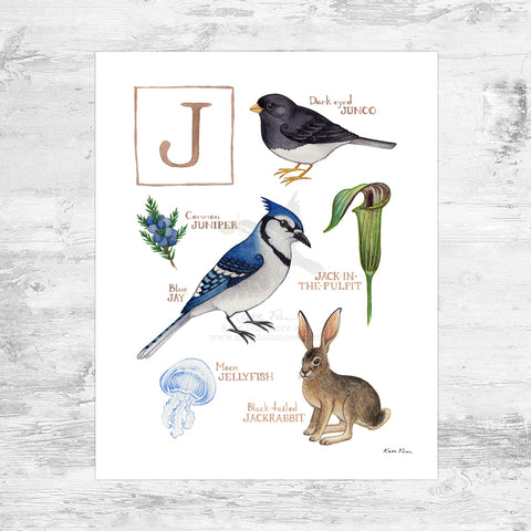 The Letter J Nature Art Print