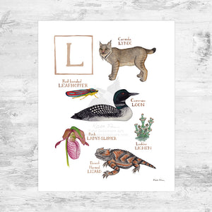 The Letter L Nature Art Print