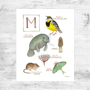 The Letter M Nature Art Print