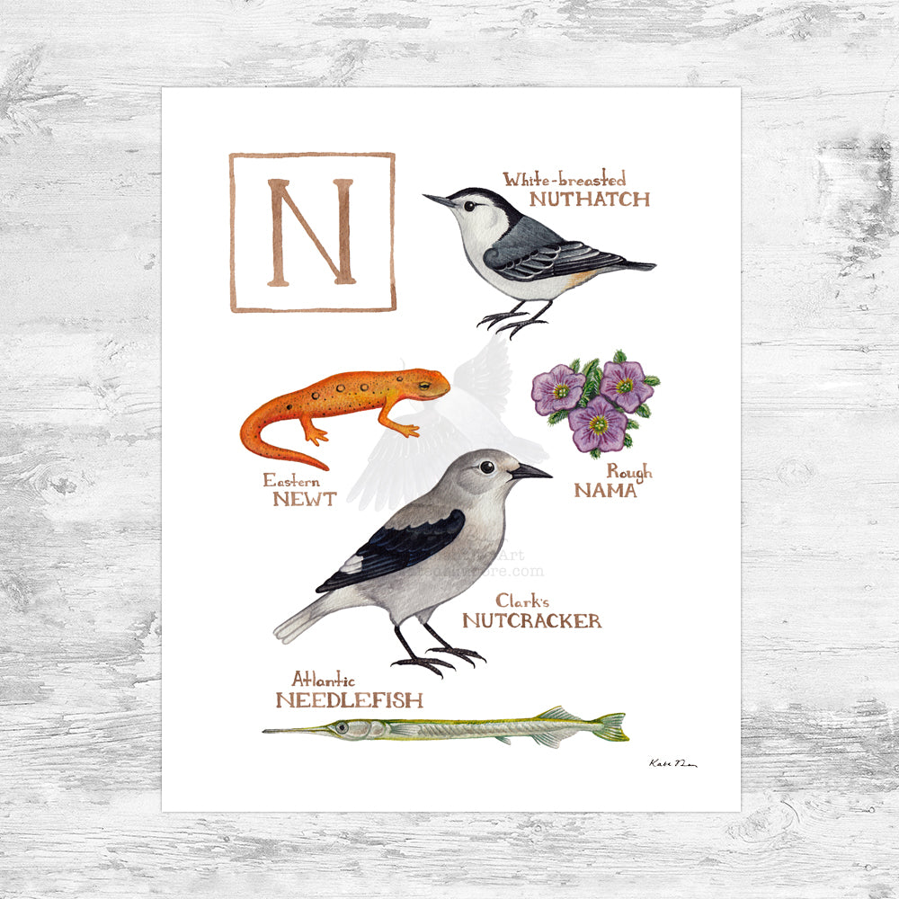 The Letter N Nature Art Print