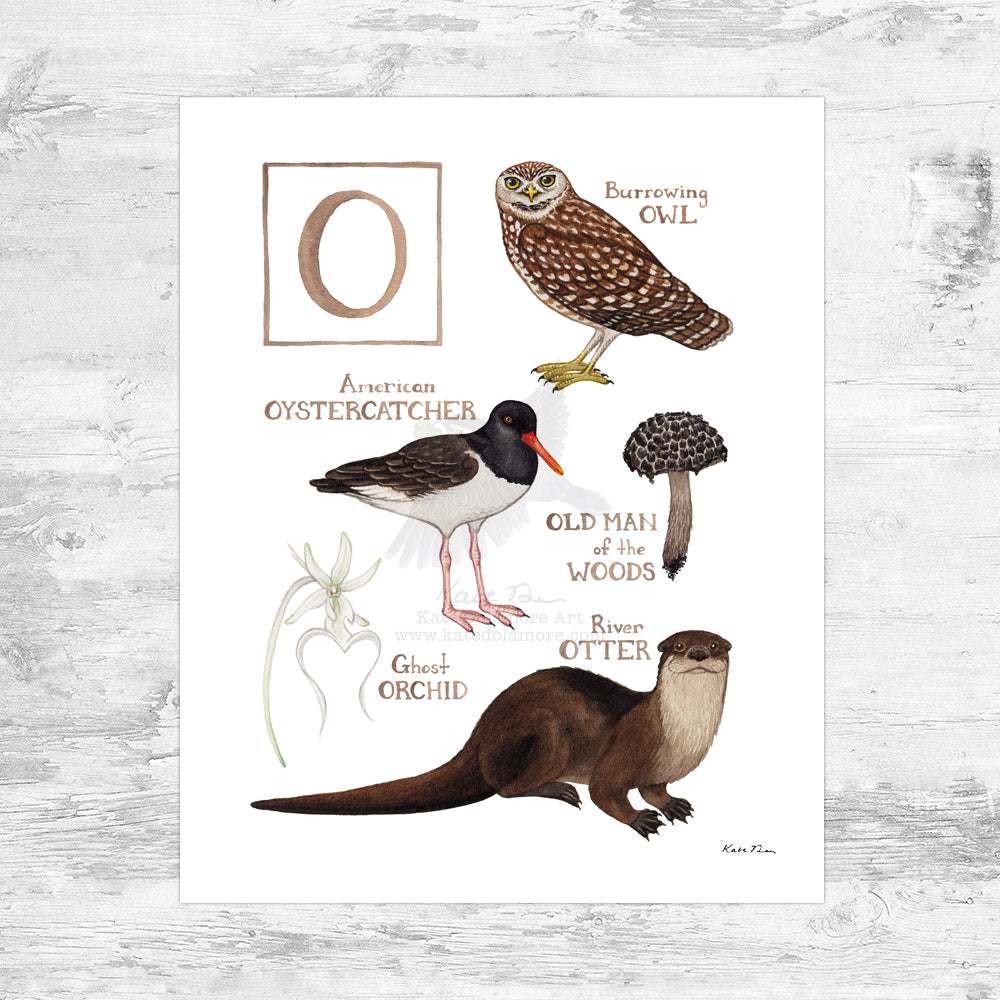 The Letter O Nature Art Print