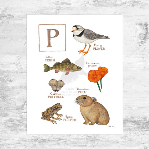 The Letter P Nature Art Print