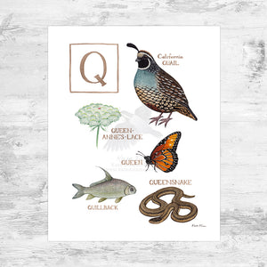 The Letter Q Nature Art Print