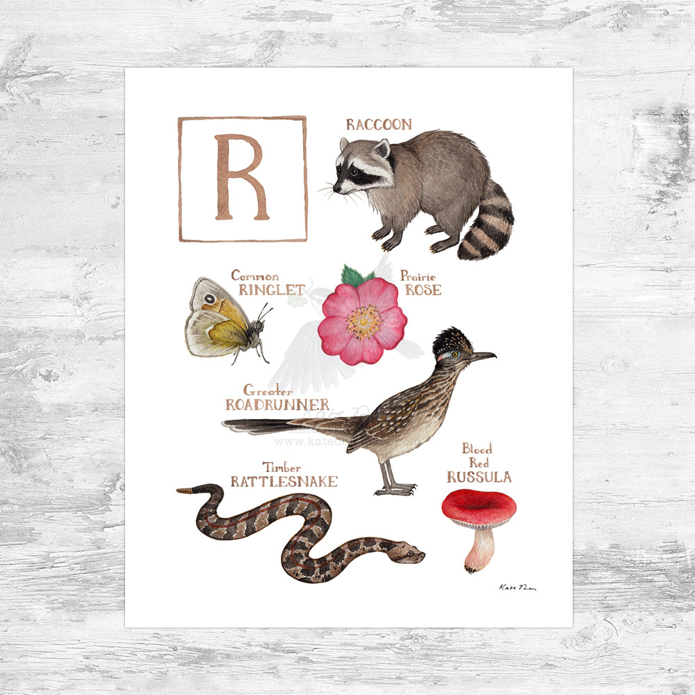 The Letter R Nature Art Print