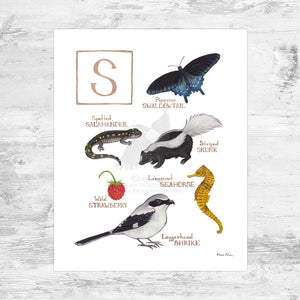 The Letter S Nature Art Print