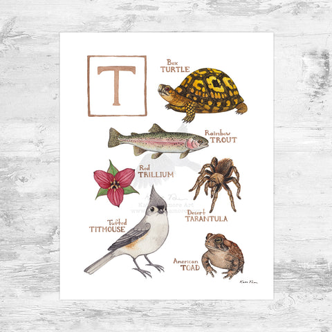 The Letter T Nature Art Print