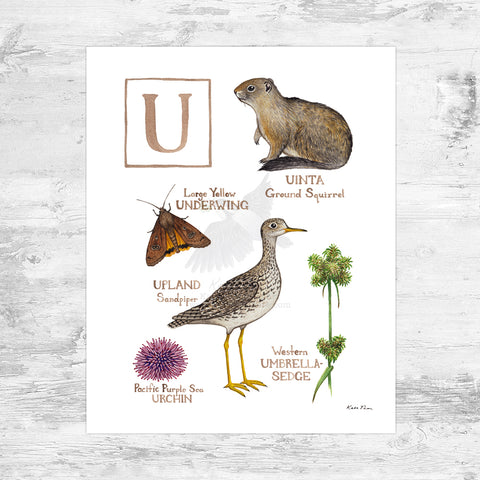 The Letter U Nature Art Print