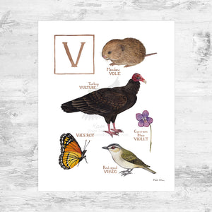 The Letter V Nature Art Print