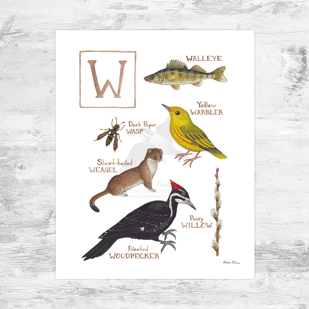 The Letter W Nature Art Print