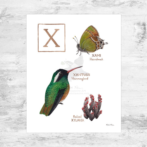 The Letter X Nature Art Print