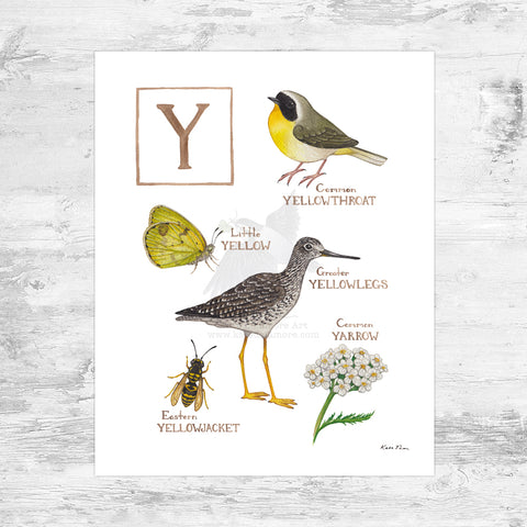 The Letter Y Nature Art Print