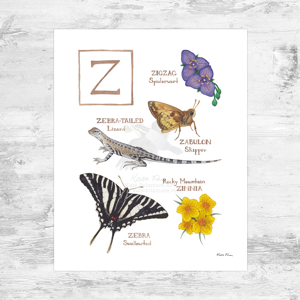 The Letter Z Nature Art Print