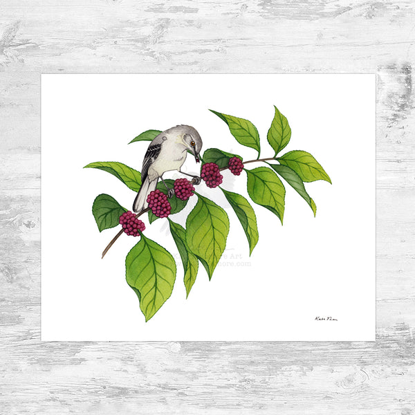 Northern Mockingbird on Beautyberry Art Print