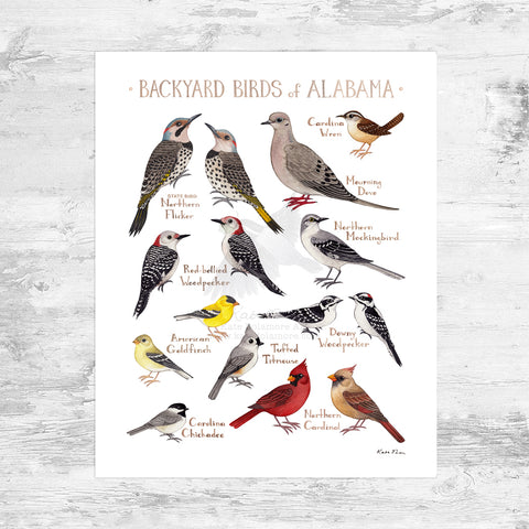 Alabama Backyard Birds Field Guide Art Print Mini (8x10)