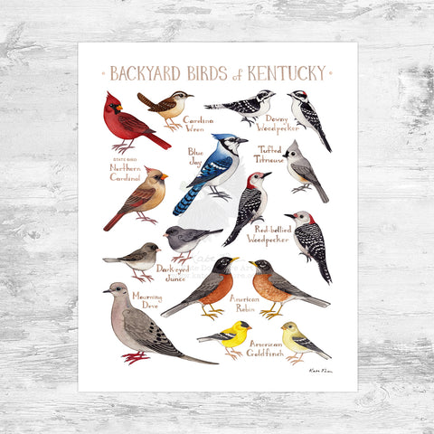 Kentucky Backyard Birds Field Guide Art Print Mini (8x10)