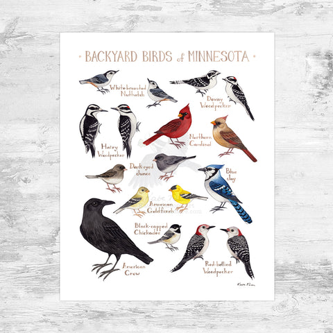 Minnesota Backyard Birds Field Guide Art Print Mini (8x10)