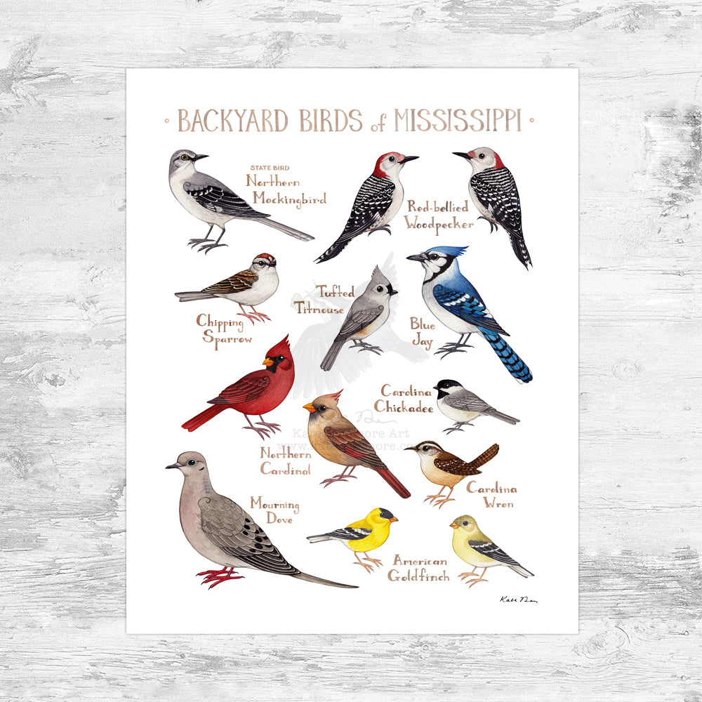 Mississippi Backyard Birds Field Guide Art Print Mini (8x10)