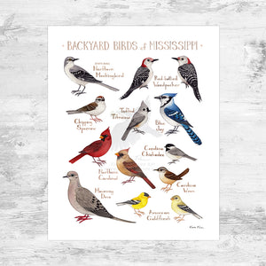 Mississippi Backyard Birds Field Guide Art Print Mini (8x10)