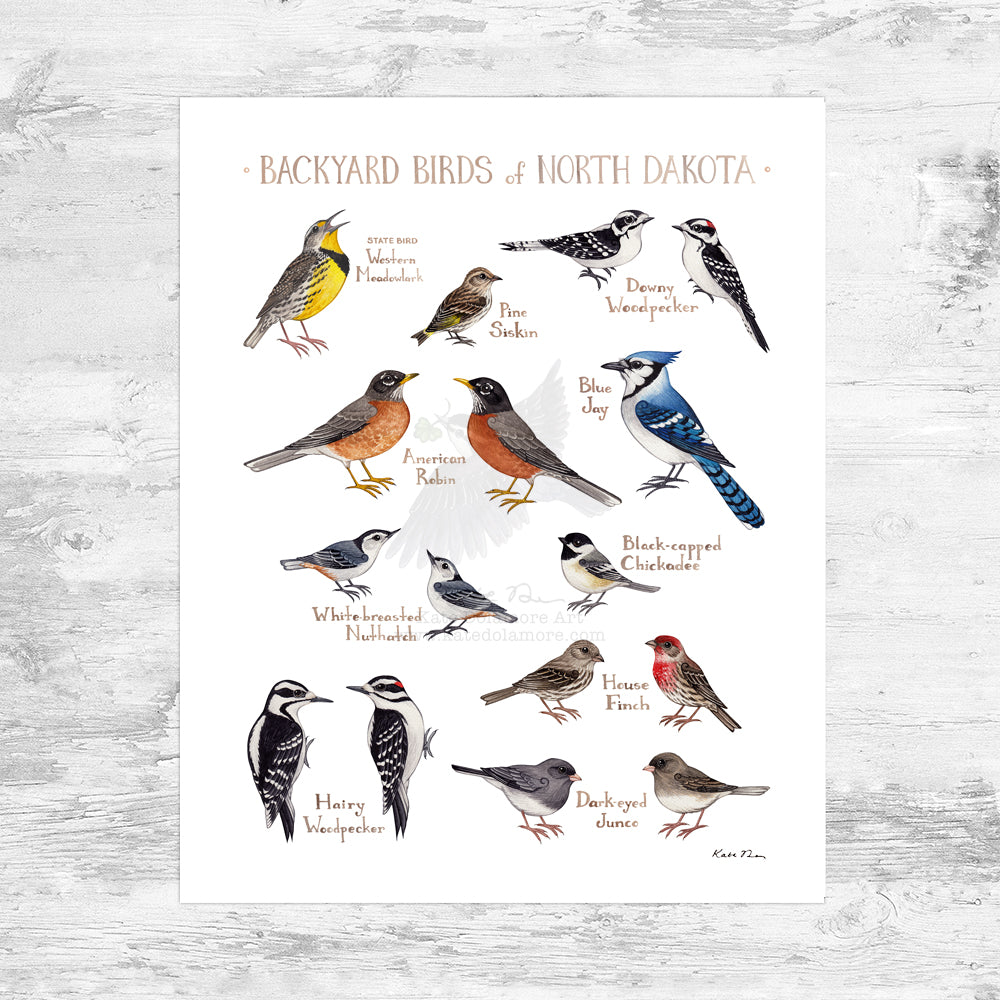 North Dakota Backyard Birds Field Guide Art Print Mini (8x10)