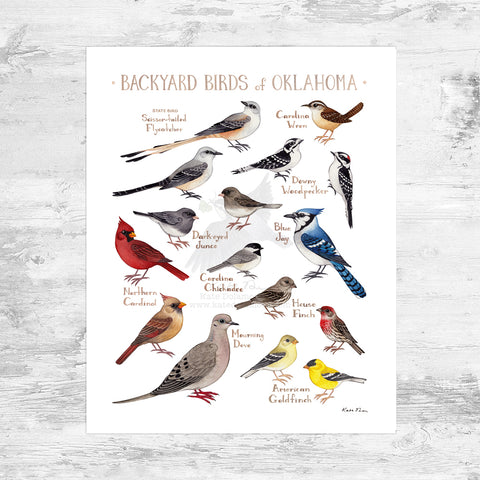 Oklahoma Backyard Birds Field Guide Art Print Mini (8x10)