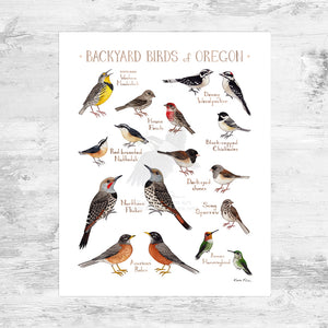 Oregon Backyard Birds Field Guide Art Print Mini (8x10)