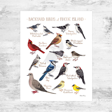 Rhode Island Backyard Birds Field Guide Art Print Mini (8x10)