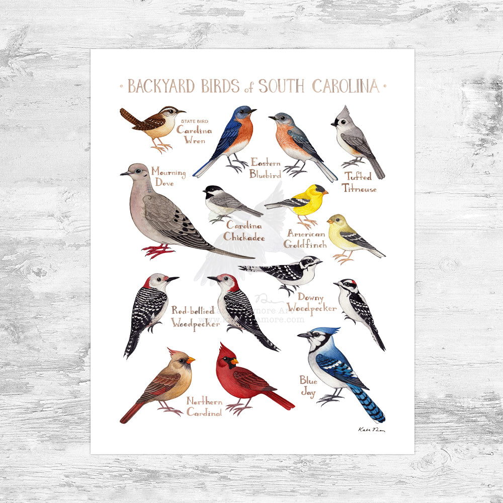 South Carolina Backyard Birds Field Guide Art Print Mini (8x10)