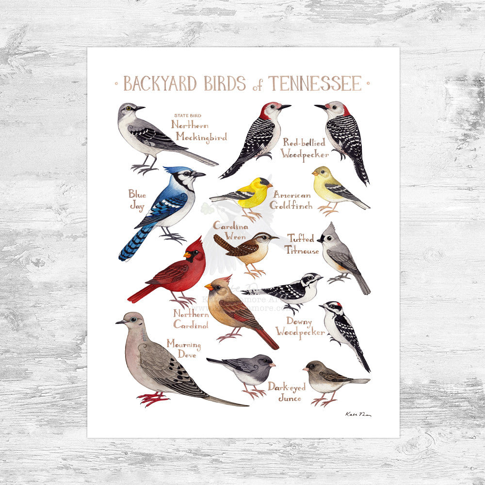 Tennessee Backyard Birds Field Guide Art Print Mini (8x10)