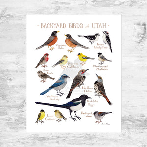 Utah Backyard Birds Field Guide Art Print Mini (8x10)