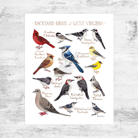 West Virginia Backyard Birds Field Guide Art Print Mini (8x10)