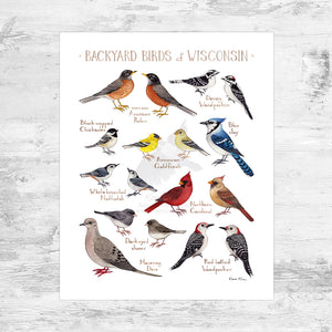 Wisconsin Backyard Birds Field Guide Art Print Mini (8x10)