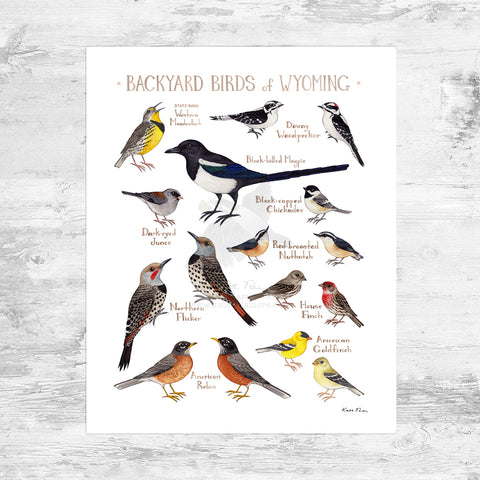 Wyoming Backyard Birds Field Guide Art Print Mini (8x10)