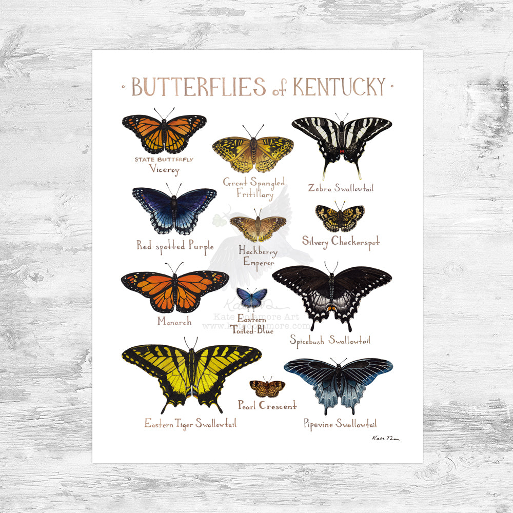 Kentucky Butterflies Field Guide Art Print Mini (8x10)