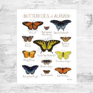 Alabama Butterflies Field Guide Art Print Mini (8x10)