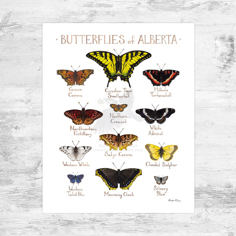 Alberta Butterflies Field Guide Art Print Mini (8x10)