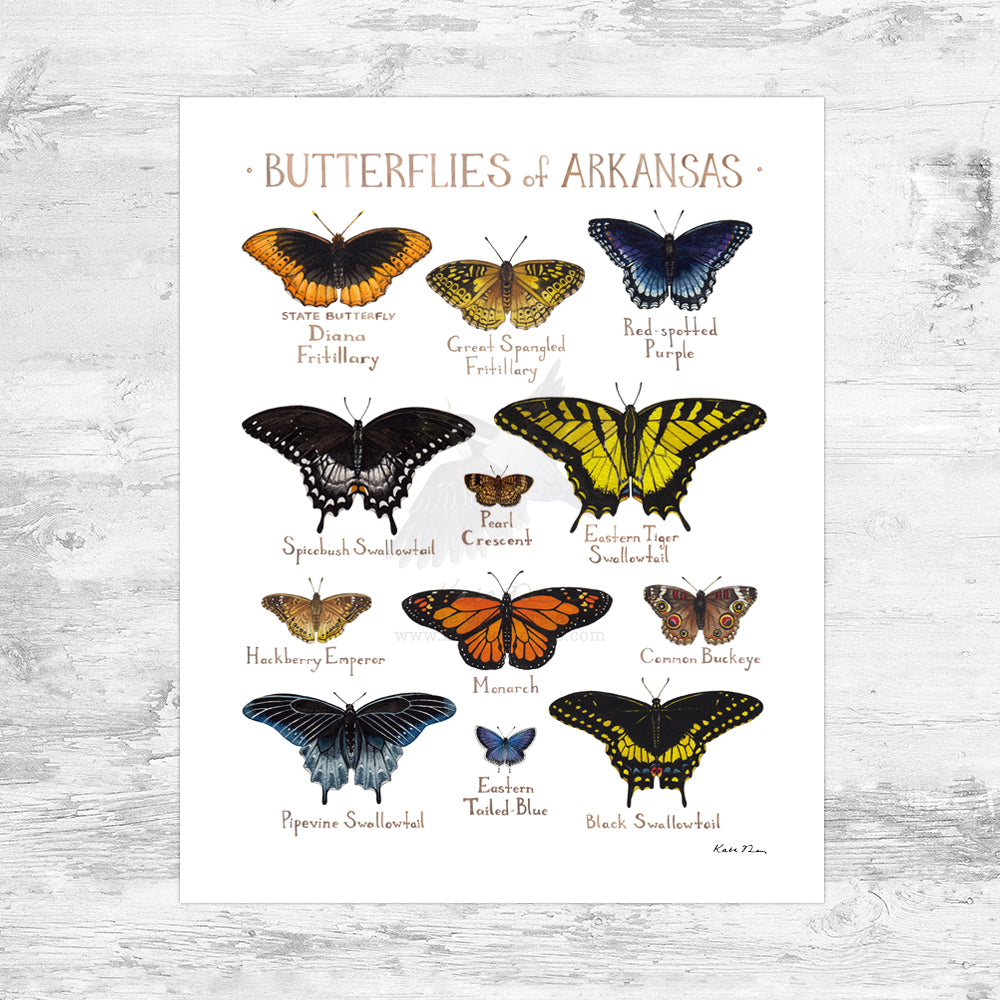 Arkansas Butterflies Field Guide Art Print Mini (8x10)