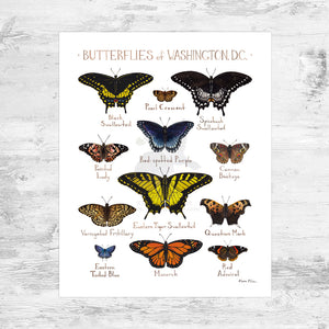 Washington, D.C. Butterflies Field Guide Art Print Mini (8x10)