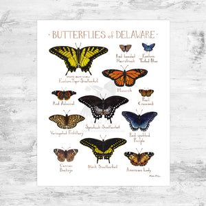 Delaware Butterflies Field Guide Art Print Mini (8x10)