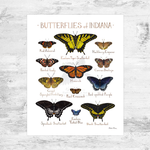 Indiana Butterflies Field Guide Art Print Mini (8x10)