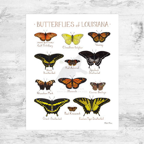 Louisiana Butterflies Field Guide Art Print Mini (8x10)