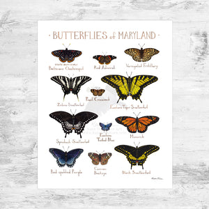 Maryland Butterflies Field Guide Art Print Mini (8x10)