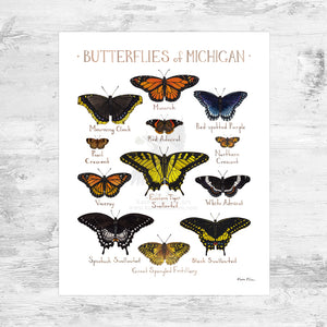 Michigan Butterflies Field Guide Art Print Mini (8x10)