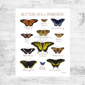 Minnesota Butterflies Field Guide Art Print Mini (8x10)