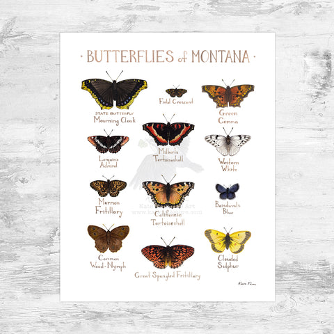 Montana Butterflies Field Guide Art Print Mini (8x10)