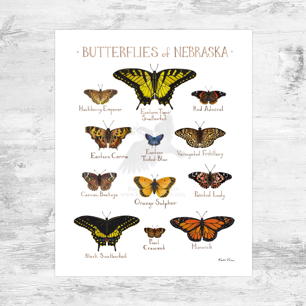 Nebraska Butterflies Field Guide Art Print Mini (8x10)