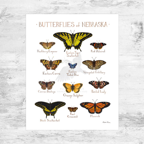 Nebraska Butterflies Field Guide Art Print Mini (8x10)